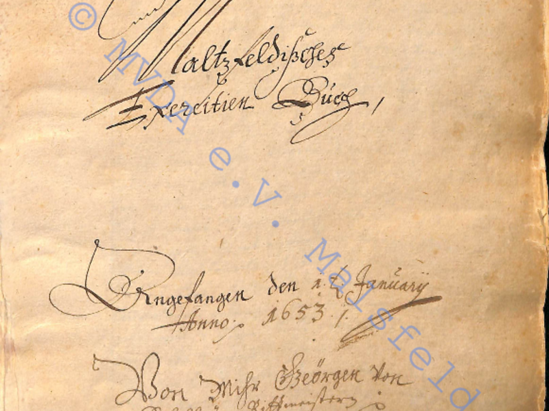 Das Maltzfeldische Exercitienbuch (Original)